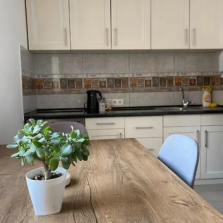 Gatto Apartman Jajca